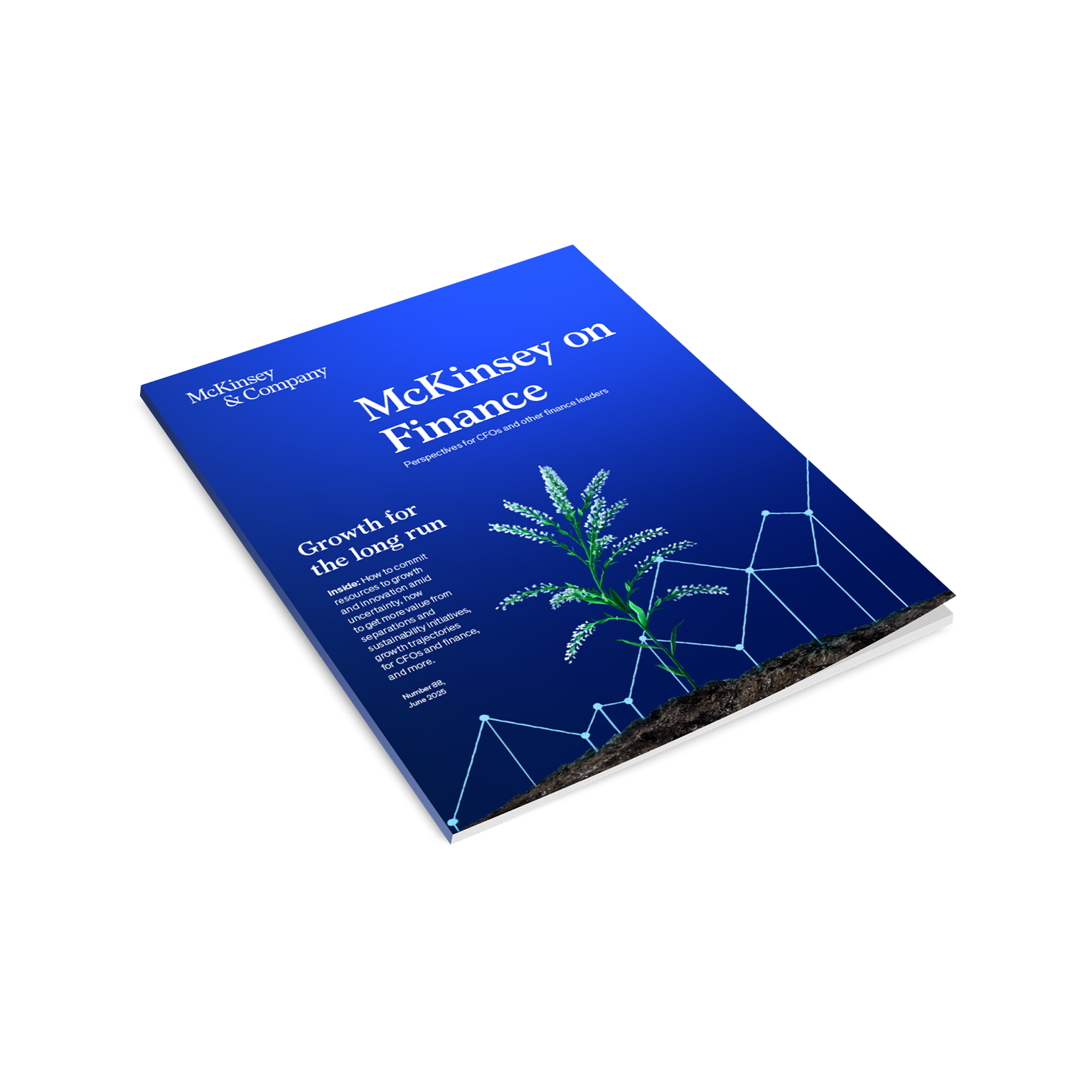 McKinsey on Finance | Strategy & Corporate Finance | McKinsey